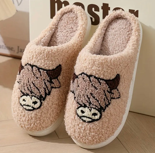 Cattle Slippers